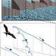 Image: H. Weimerskirch et al./Science (2016)